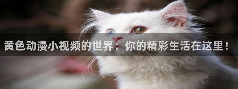 天官赐福樱花动漫网：黄色动漫小视频的世界：你的精彩生活在这里！