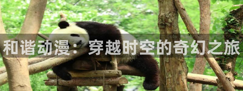 樱花动漫入口在线：和谐动漫：穿越时空的奇幻之旅