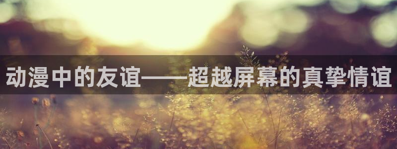 石纪元第四季樱花动漫：动漫中的友谊——超越屏幕的真挚情谊