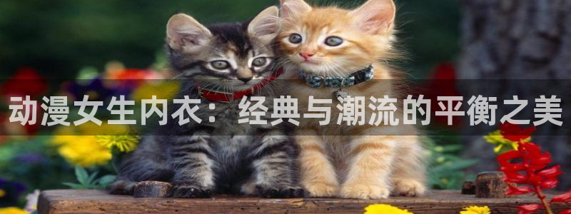 樱花动漫官网是：动漫女生内衣：经典与潮流的平衡之美